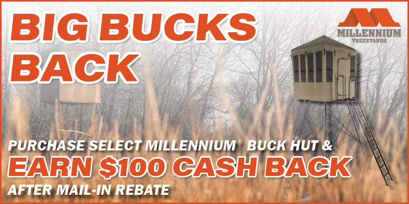 Big Bucks Back